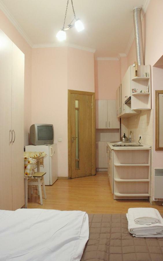 Квартира В Оренду По Вулиці Гавришкевича 10 Lviv Ngoại thất bức ảnh
